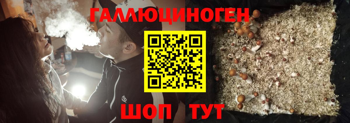 Белгород  где продают   Вход с VPN  Галлюциногенные грибы Magic Shrooms 